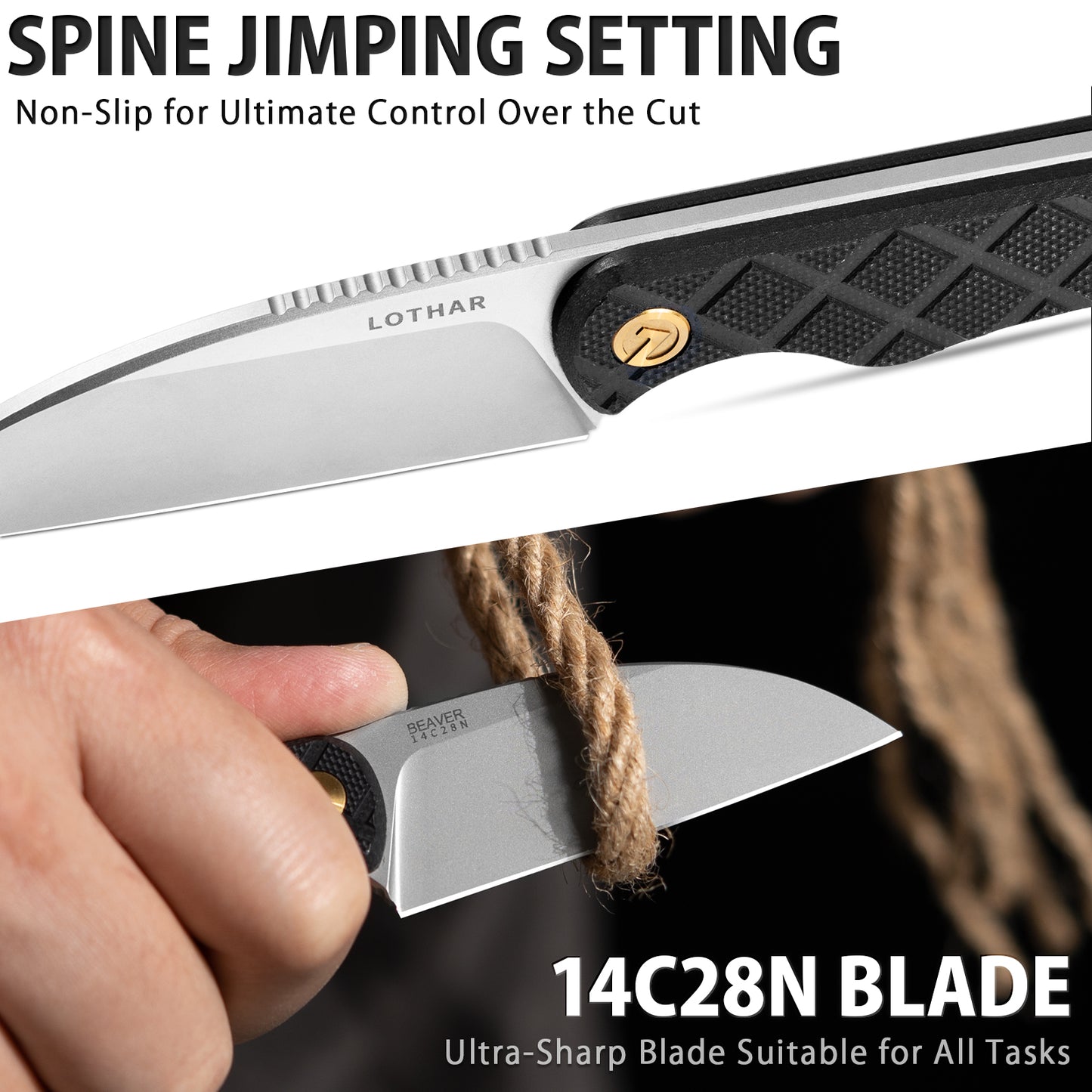 LOTHAR BEAVER 2.5" 14C28N Fixed Blade Small EDC Neck Knife