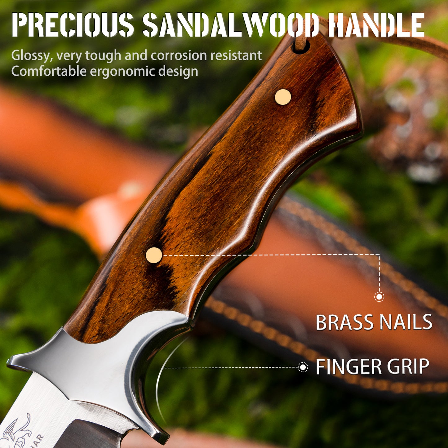 LOTHAR MOOSE Fixed Blade Hunting Knife, 5.3 Inch Sharp D2 Blade Bowie Knife with Leather Sheath, Rosewood Handle, Perfect Helper for Hunting, Camping or Bushcraft